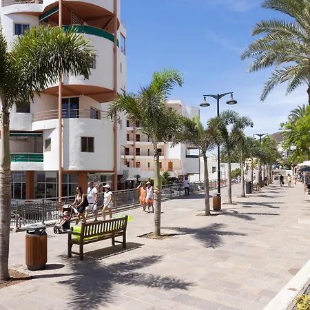 Apartamento New Center Cristianos Los Cristianos (Tenerife)