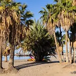 New Center Cristianos * Los Cristianos (Tenerife)