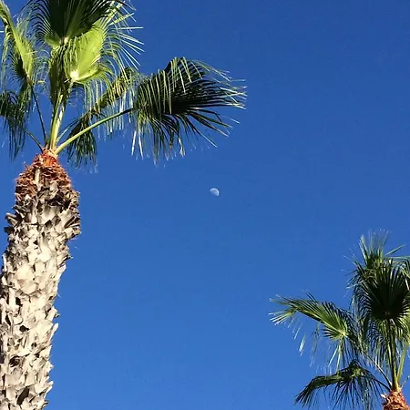 Appartamento New Center Cristianos