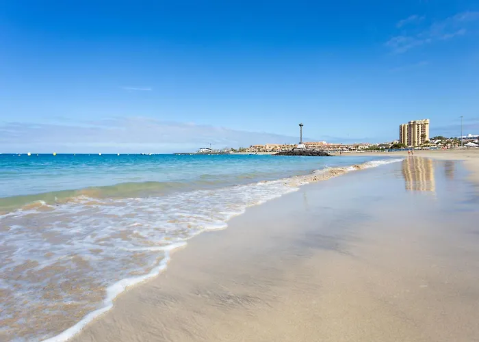 New Center Cristianos