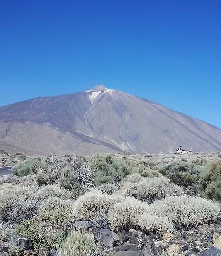 New Center Cristianos Los Cristianos (Tenerife)