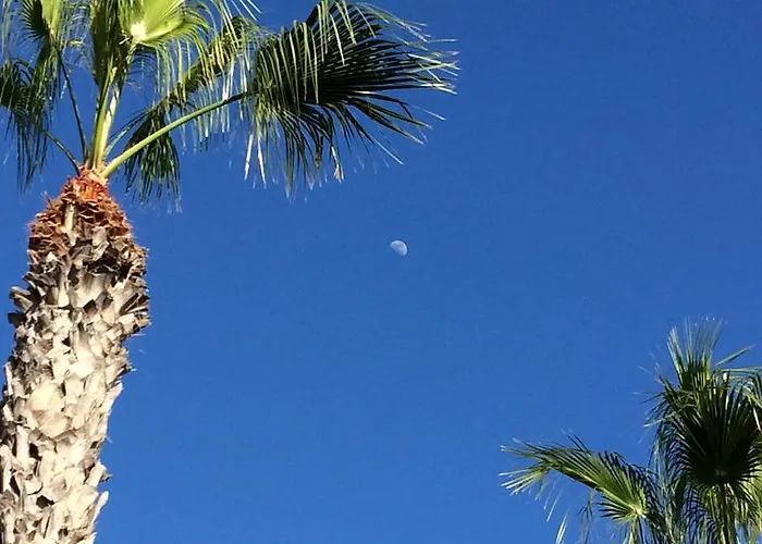 Apartamento New Center Cristianos